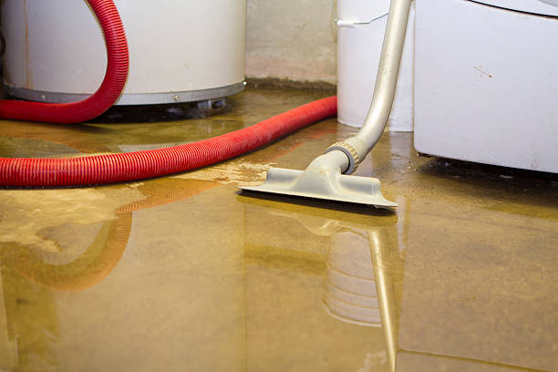 Best Flooded house restoration  in Cibolo, TX