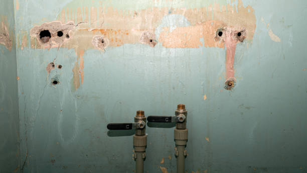 Best Emergency water damage restoration  in Cibolo, TX
