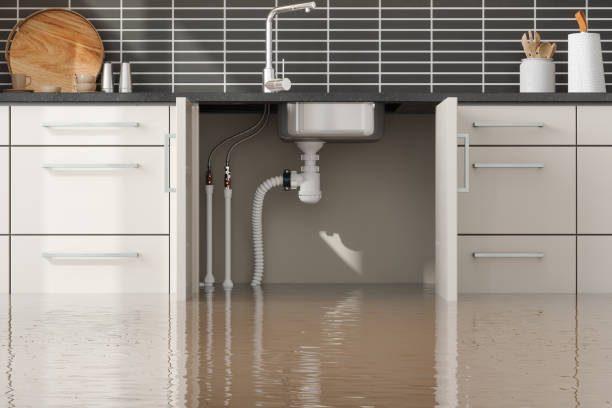 Best 24/7 water damage repair  in Cibolo, TX